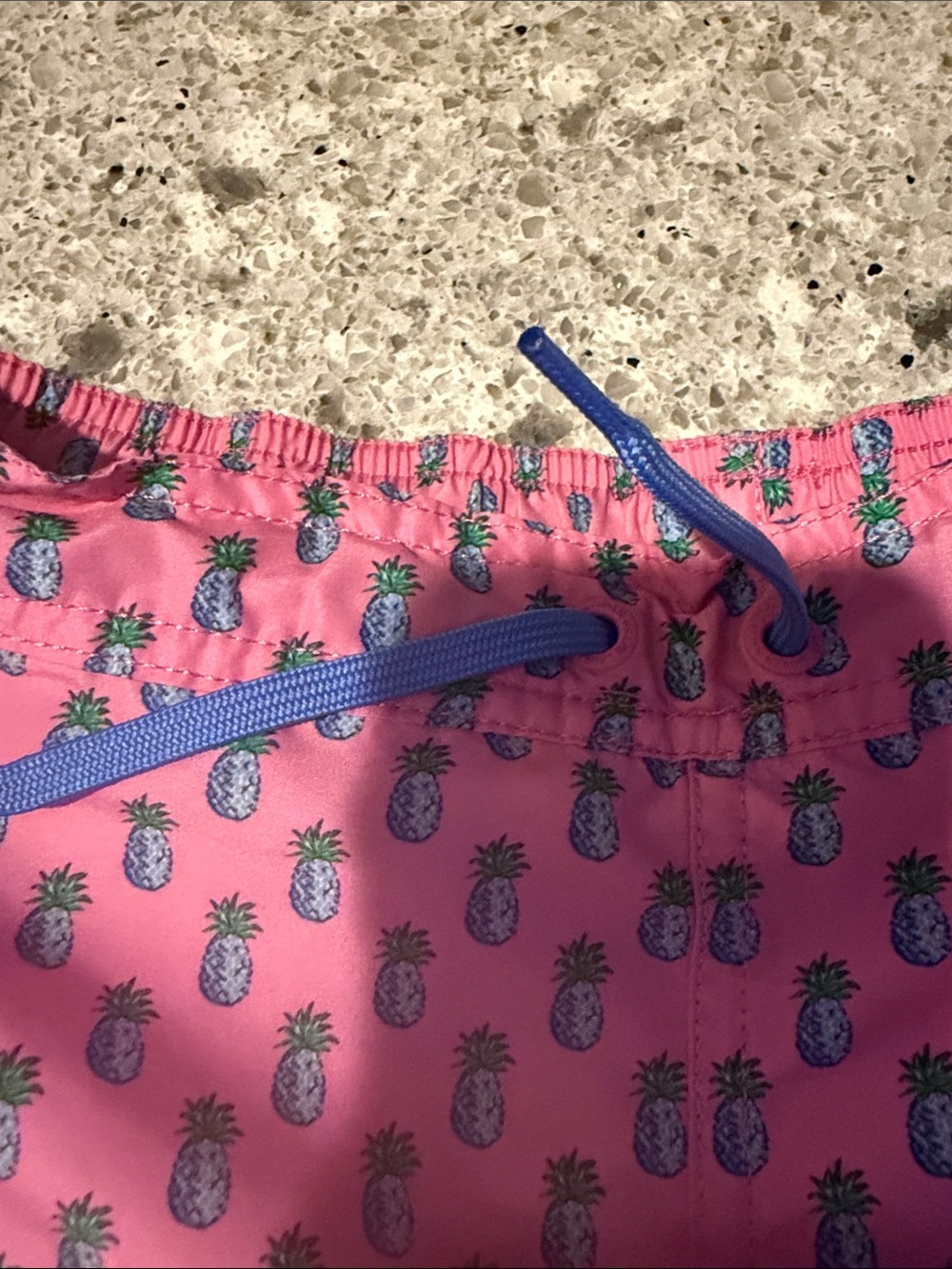 Polo by Ralph Lauren Pink Pineapple Print Boys' Swim Trunks with Blue Trim - Picture 3 of 6